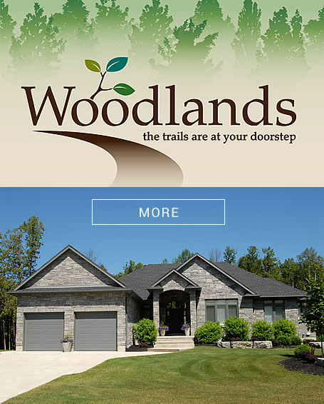 Woodlands poster
